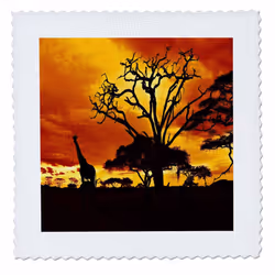 3dRose African Giraffe on African Plains at Sunset  Animal Safari Africa - Quilt Square  12 by 12-Inch (qs_173293_4)