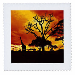 3dRose African Giraffe on African Plains at Sunset  Animal Safari Africa - Quilt Square  12 by 12-Inch (qs_173293_4)