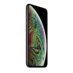 Apple iPhone XS Max 16.5 cm (6.5") Dual SIM iOS 12 4G 256 GB Grey