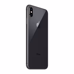 Apple iPhone XS Max 16.5 cm (6.5") Dual SIM iOS 12 4G 256 GB Grey