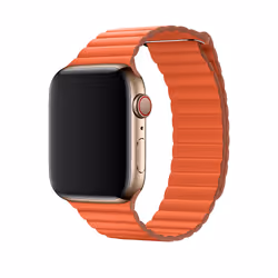 Apple 44mm Sunset Leather Loop - Medium