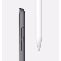 Apple iPad mini 5th Gen 7.9in Wi-Fi 64GB - Space Gray