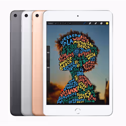 Apple iPad mini 5th Gen 7.9in Wi-Fi 64GB - Space Gray