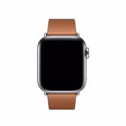 Apple MWRE2ZM/A Smart Wearable Accessories Band Brown Leather