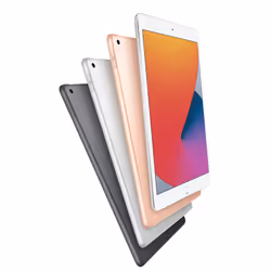 Apple iPad 8th Gen 10.2in Wi-Fi + Cellular 32GB - Grey