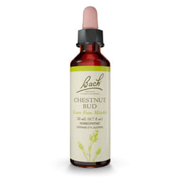 Bach Original Flower Remedies  Chestnut Bud - Learn from Mistakes - Natural Homeopathic Flower Essence for Emotional Balance - Vegan  Gluten Free  Sug