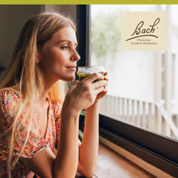 Bach Original Flower Remedies  Chestnut Bud - Learn from Mistakes - Natural Homeopathic Flower Essence for Emotional Balance - Vegan  Gluten Free  Sug