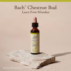 Bach Original Flower Remedies  Chestnut Bud - Learn from Mistakes - Natural Homeopathic Flower Essence for Emotional Balance - Vegan  Gluten Free  Sug