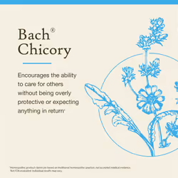 Bach Original Flower Remedies  Chicory - Love Unconditionally - Natural Homeopathic Flower Essence for Emotional Balance - Vegan  Gluten Free  Sugar F