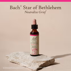 Bach Original Flower Remedies  Star of Bethlehem - Neutralize Grief - Natural Homeopathic Flower Essence for Emotional Balance - Vegan  Gluten Free  S