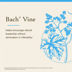Bach Original Flower Remedies  Vine - Motivate Not Dominate - Natural Homeopathic Flower Essence for Emotional Balance - Vegan  Gluten Free  Sugar Fre