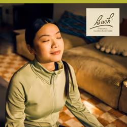 Bach Original Flower Remedies  White Chestnut - Calm The Mind - Natural Homeopathic Flower Essence for Emotional Balance - Vegan  Gluten Free  Sugar F