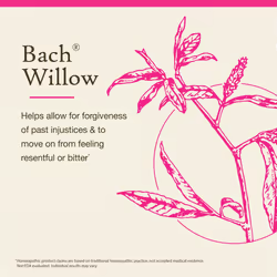 Bach Original Flower Remedies  Willow - Forgive & Forget - Natural Homeopathic Flower Essence for Emotional Balance - Vegan  Gluten Free  Sugar Free -