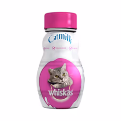 Whiskas Cat Milk 200ml (Pack of 6)