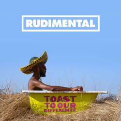 ImportCDs Toast to Our Differences CD Dance
