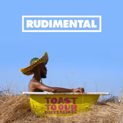 ImportCDs Toast to Our Differences, Dance, CD, Physical media, Adult, 1 discs, 24/01/2019