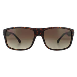 Police Sunglasses SPLB39 Tailwind 4 0738 Matte Dark Havana Smoke Brown Gradient