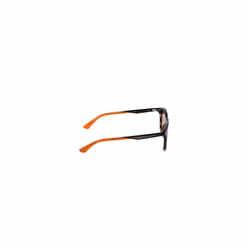 Police SPLF18E Sunglasses, Avana SCURA LUCIDA, 53