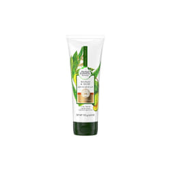 Herbal Essences Bio:Renew Curl Cream, Aloe and Mango, 6.8 oz