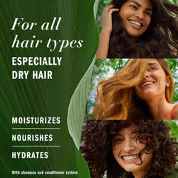 Herbal Essences Honey Daily Moisture Conditioner  Protects and Nourishes Dry Hair  Hydrating Conditioner with Certified Camellia Oil and Aloe Vera  Mo