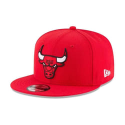 NBA Chicago Bulls Men's 9Fifty Team Color Basic Snapback Cap  One Size  Red