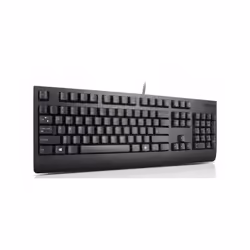 Lenovo 4X30M86893, Full-size (100%), Wired, USB, QWERTZ, Black