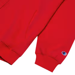 Champion Hoodie  Big and Tall Hoodies for Men  Mens Hoodies  Zip Up Hoodie