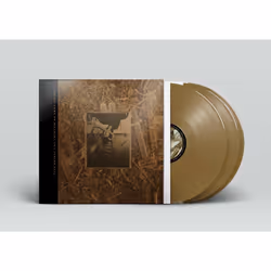 Come On Pilgrim... It's Surfer Rosa [VINYL]