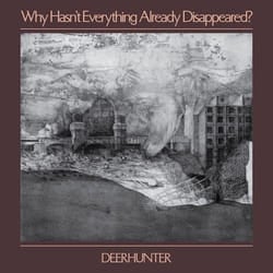 ImportCDs Why Hasn't Everything Already Disappeared Vinyl Pop rock