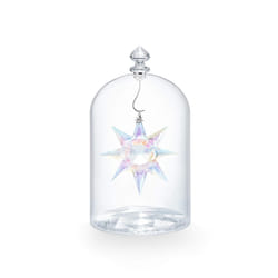 SWAROVSKI Christmas Ornament  125th Anniversary Engraved Annual Edition 2020  Glass Jar & Star Set