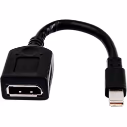 HP miniDP-to-DP Adapter Cables (Bulk 12), DisplayPort, Mini DisplayPort, Female, Male, Black, 90 g