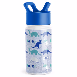 Simple Modern 0191719086246, 400 ml, Daily usage, Multicolour, Stainless steel, Dinosaur Roar, 24 h