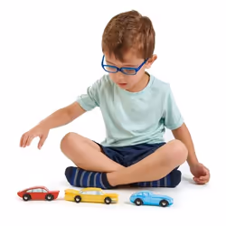 Tender Leaf Toys Retro Cars