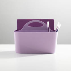 mDESIGN 04538MDBST shower basket/caddy Plastic Freestanding Shower caddy