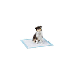 Amazon Basics Heavy Duty Dog and Puppy Training Pads, Leakproof with Quick-Dry Surface, Regular, Pack of 50