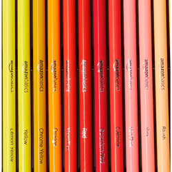 Amazon Basics - Premium Colored Pencils  Soft Core  48 Count (Pack of 1)  Multicolor