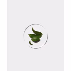 Clinique Even Better Clinical Radical Dark Spot Corrector + Interrupter, 50ml - Additional view 4