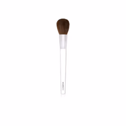 Clinique blusher brush