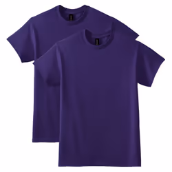 Gildan Unisex Adult Dryblend T-shirt  Style G8000  Multipack  Purple 2-pack  XX-Large US