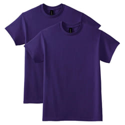 Gildan Unisex Adult Dryblend T-shirt  Style G8000  Multipack  Purple 2-pack  XX-Large US