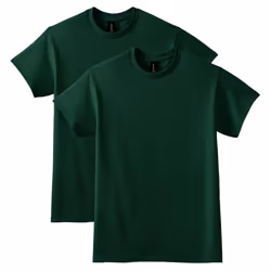 Gildan Adult DryBlend T-Shirt  Style G8000  Multipack