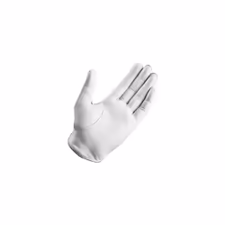 TaylorMade 2019 Kalea Women's Golf Glove  White/Gray  Worn on Right Hand  Small