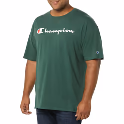 Champion mens Classic T-shirt  Script Logo T Shirt  Dark Green-y07718  Large US