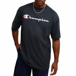 Champion mens Classic T-shirt  Script Logo T Shirt  Granite Heather-y07718  Small US