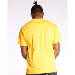 Champion Men's Classic Jersey Script T-Shirt  Team Gold2  X-Large