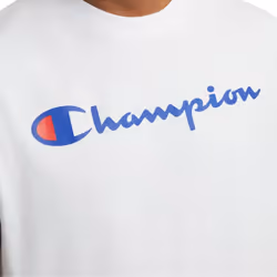 Champion Men's Classic Jersey Muscle Tee  Screen Print Script  White  Small