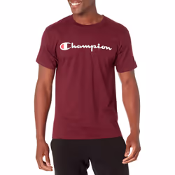 Champion mens Classic T-shirt  Script Logo T Shirt  Maroon-y07718  X-Large US