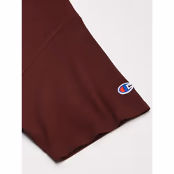 Champion mens Classic T-shirt  Script Logo T Shirt  Maroon-y07718  X-Large US
