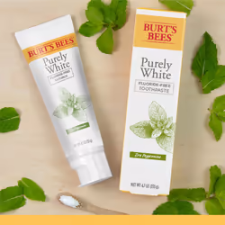 Burt's Bees Toothpaste  Natural Flavor  Fluoride Free Purely White  Zen Peppermint  4.7oz 3 Count