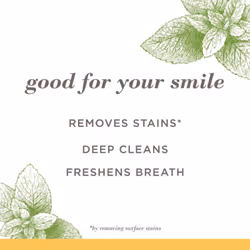 Burt's Bees Toothpaste  Natural Flavor  Fluoride-Free  Purely White  Zen Peppermint  4.7 oz  Pack of 3